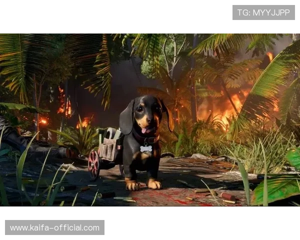 凯发官网k8游戏下载:优化游戏体验的实用技巧介绍 凯发官网k8游戏下载:优化游戏体验的实用技巧介绍