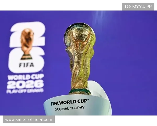 2026年世界杯参赛国家图片大集合，展现各国足球队的风采与特色